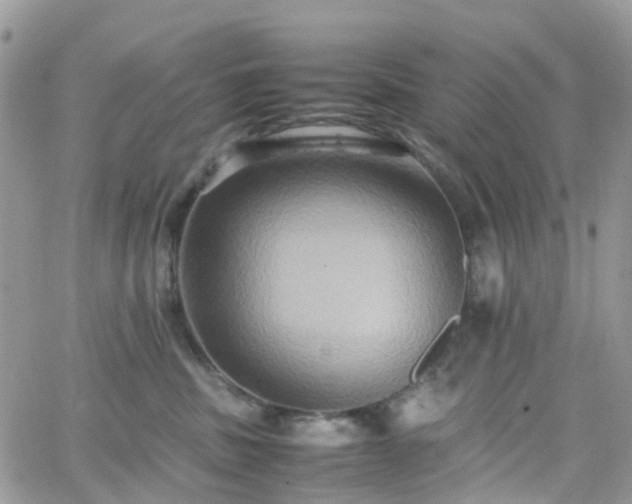 X0000066520379200603241342