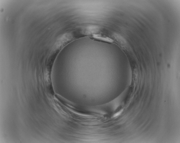 X0000066520380200603241343