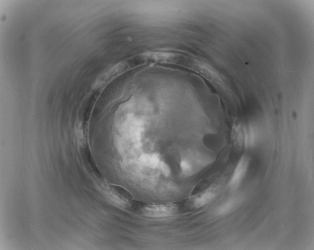 X0000066520381200603241343