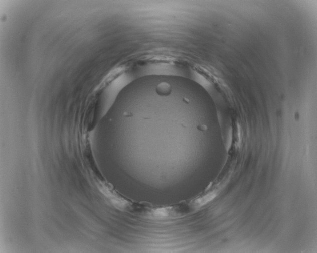 X0000066520382200603241343