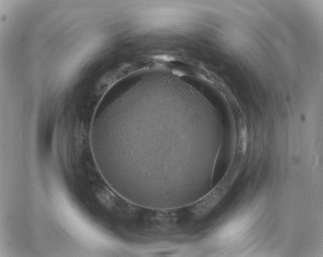 X0000066520383200603241343