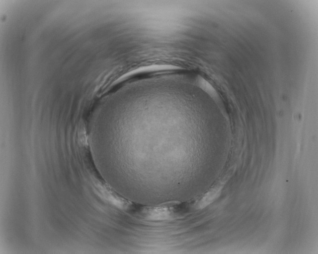 X0000066520384200603241343