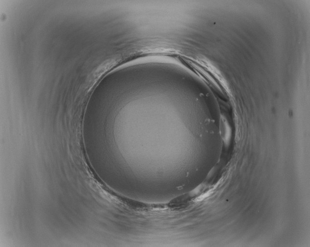 X0000066520385200603241342