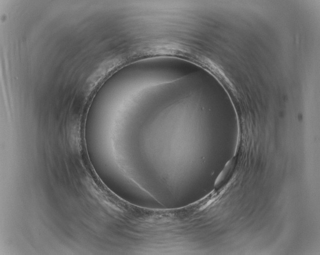 X0000066520386200603241342