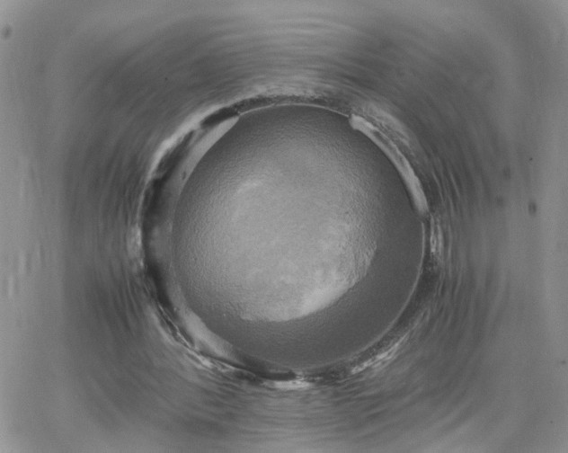 X0000066520388200603241342