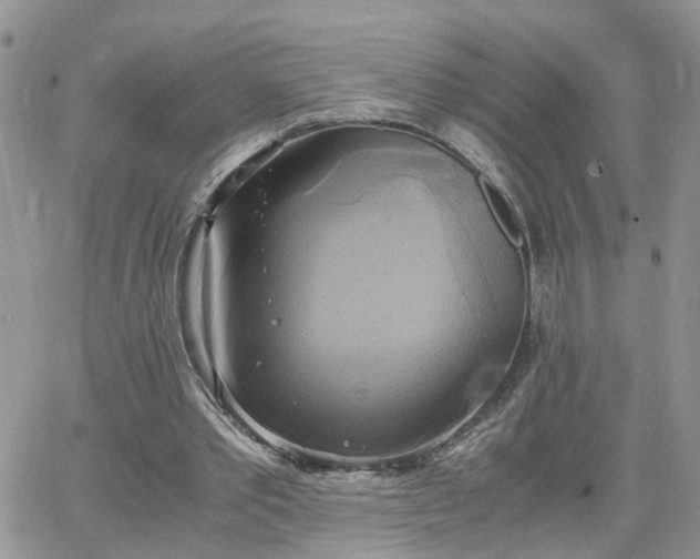 X0000066520389200603241342