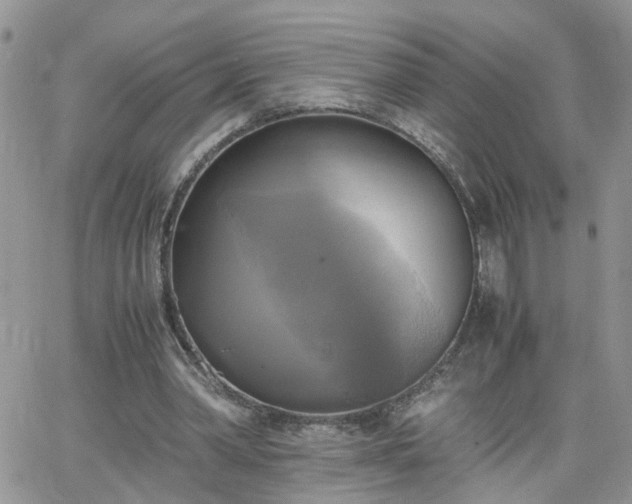 X0000066520390200603241342