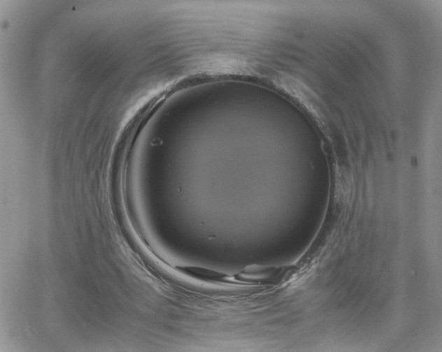 X0000066520391200603241342