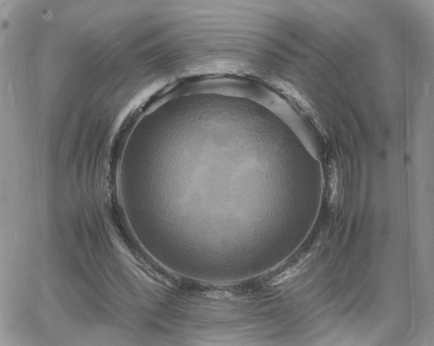 X0000066520392200603241342