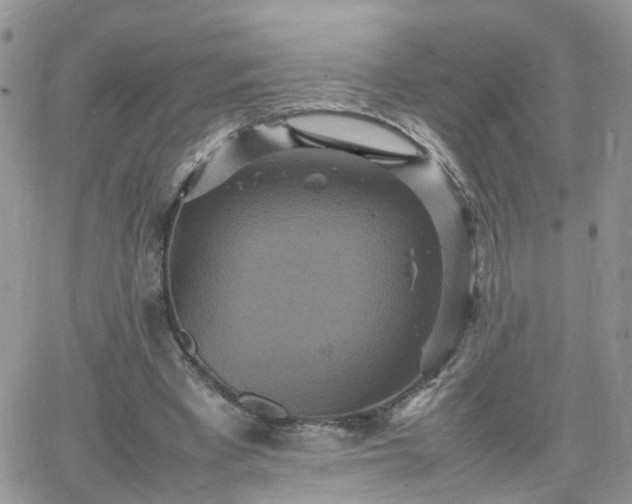 X0000066520393200603241342