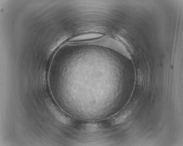 X0000066520394200603241342