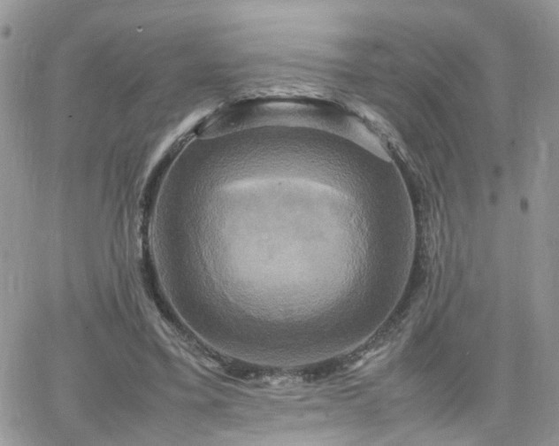 X0000066520395200603241342