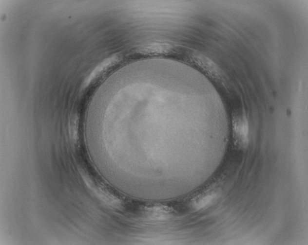 X0000066520396200603241342