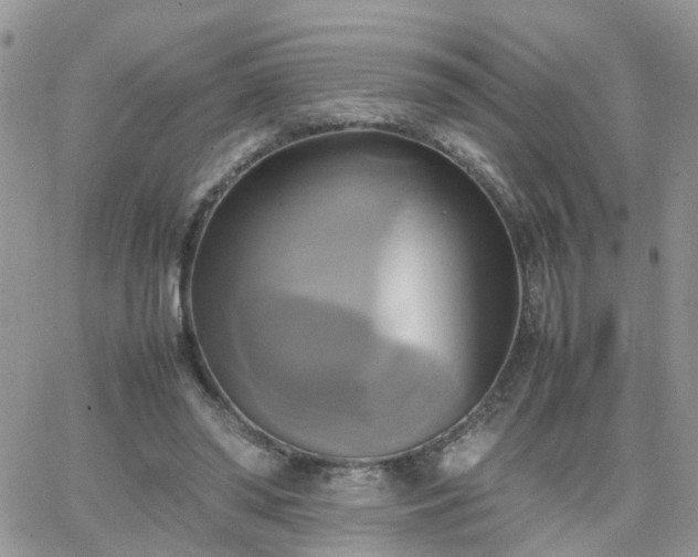 X0000066520398200603241342