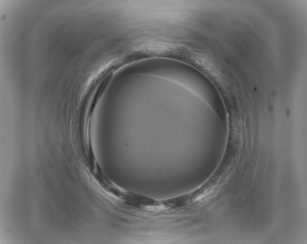 X0000066520399200603241342