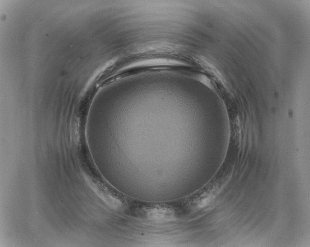 X0000066520400200603241342