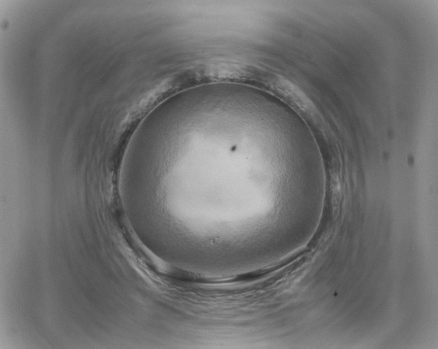 X0000066520401200603241342