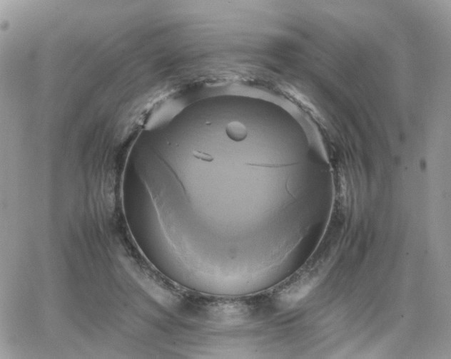 X0000066520402200603241342