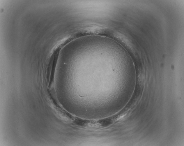 X0000066520403200603241342