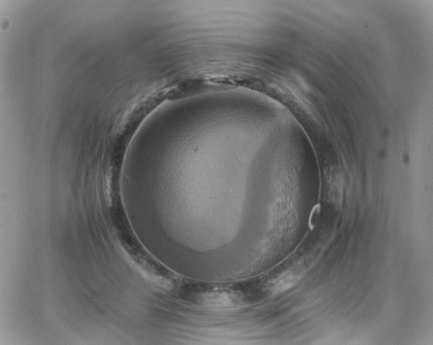 X0000066520404200603241341