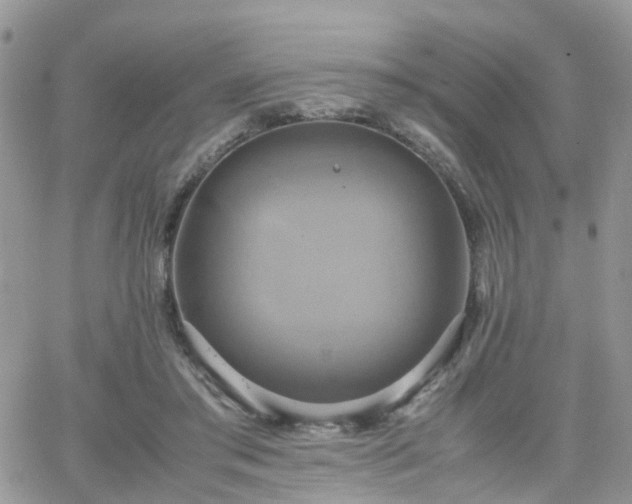 X0000066520405200603241341