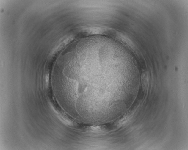 X0000066520406200603241341