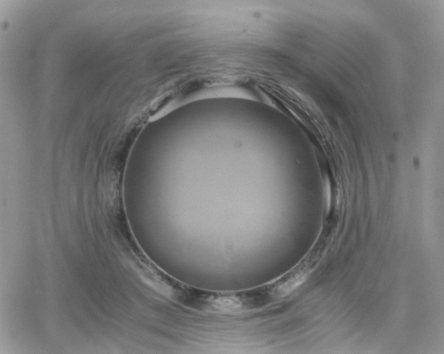 X0000066520409200603241341