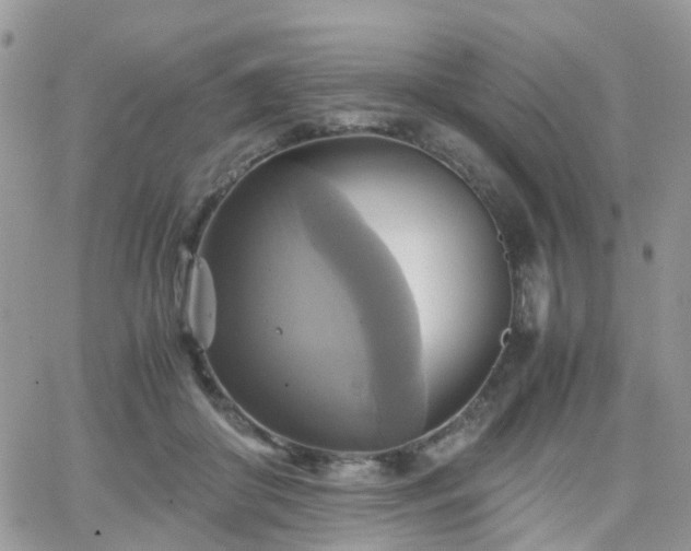 X0000066520410200603241341