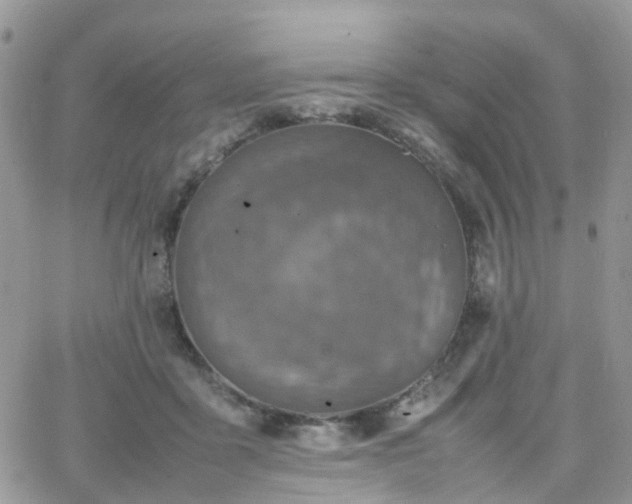 X0000066520411200603241341