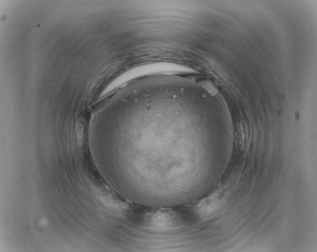 X0000066520412200603241341