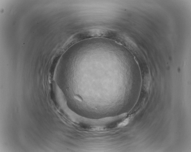 X0000066520413200603241341