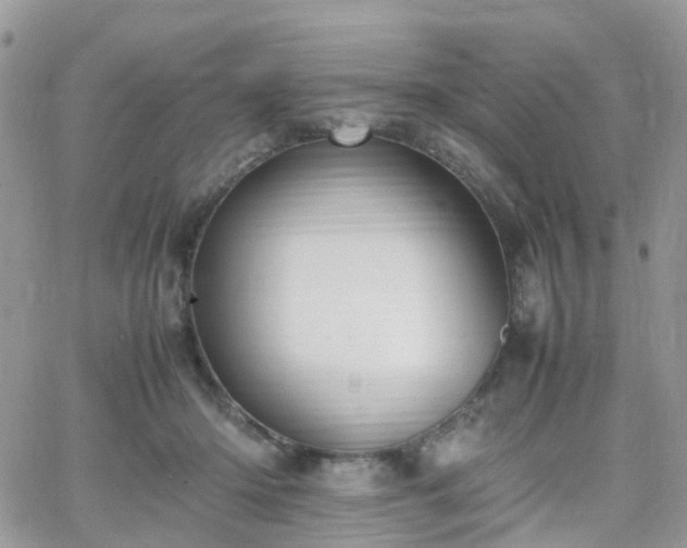 X0000066520414200603241341