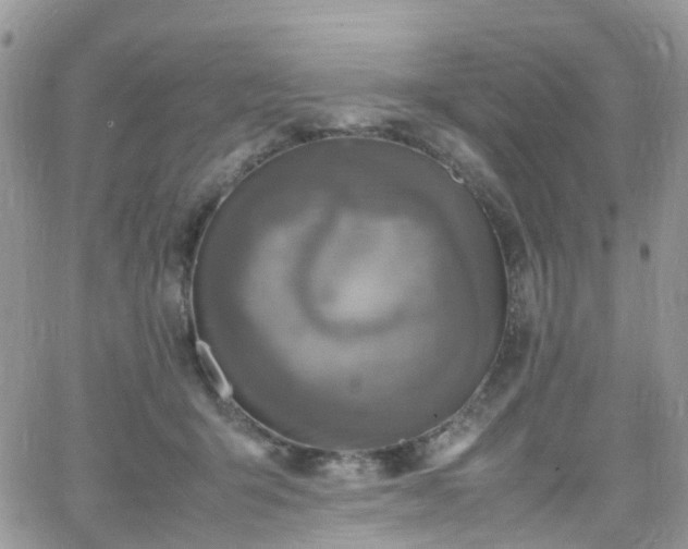 X0000066520415200603241341