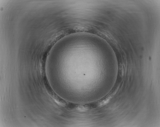 X0000066520416200603241341