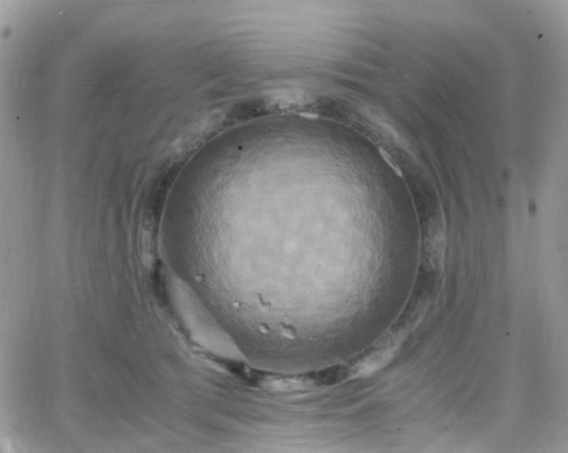 X0000066520417200603241341