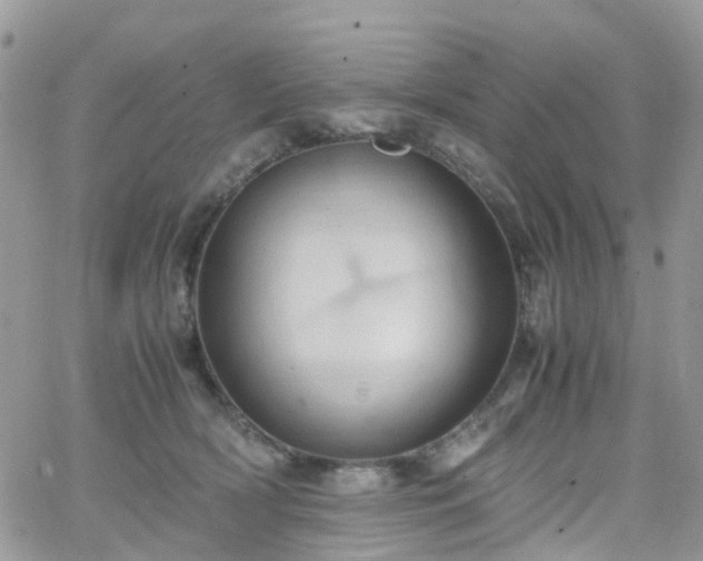 X0000066520418200603241341