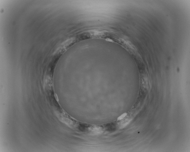 X0000066520419200603241341