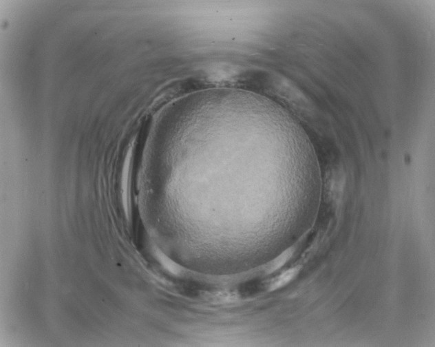 X0000066520421200603241341