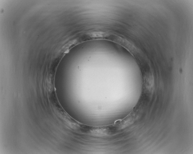 X0000066520422200603241341