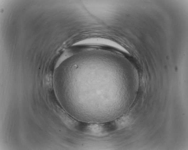 X0000066520425200603241341