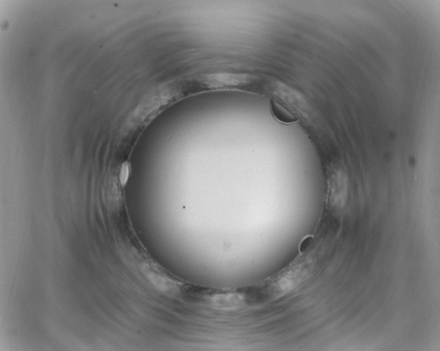 X0000066520426200603241341