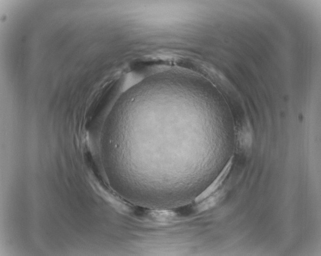 X0000066520429200603241341