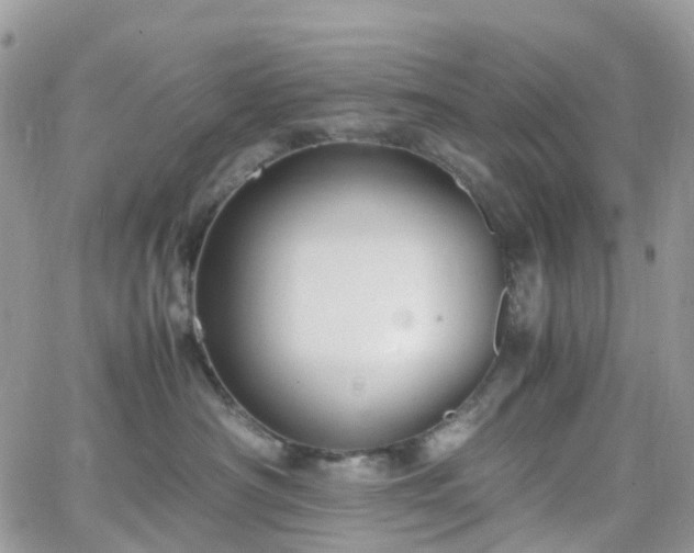 X0000066520430200603241341