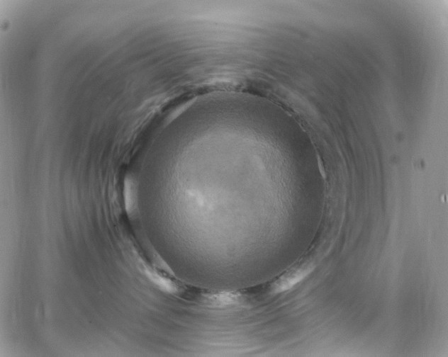 X0000066520432200603241341