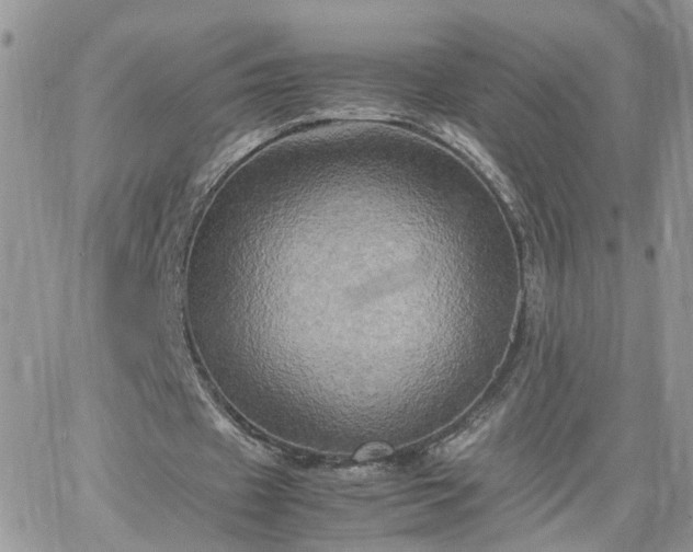 X0000066520433200603241340