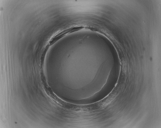 X0000066520434200603241340