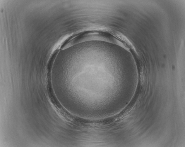 X0000066520436200603241340