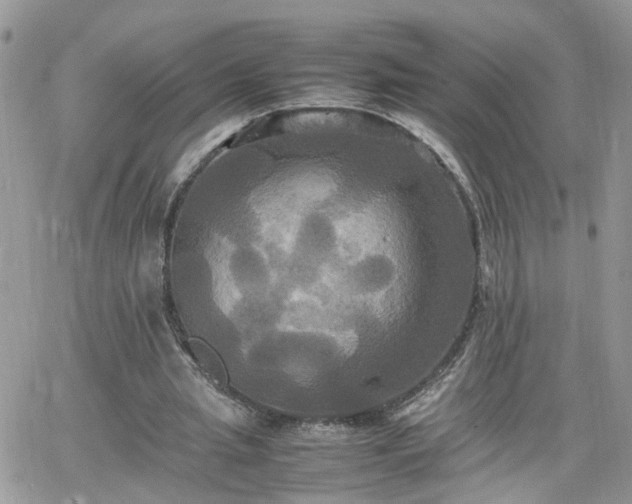 X0000066520437200603241340