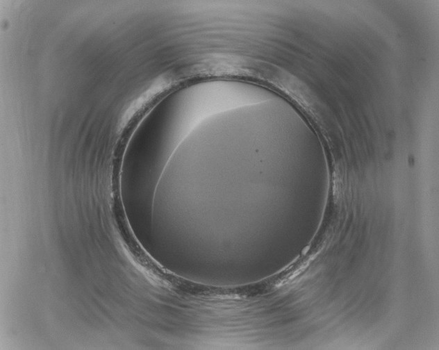 X0000066520438200603241340