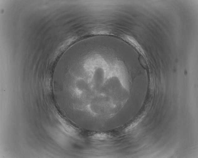 X0000066520441200603241340